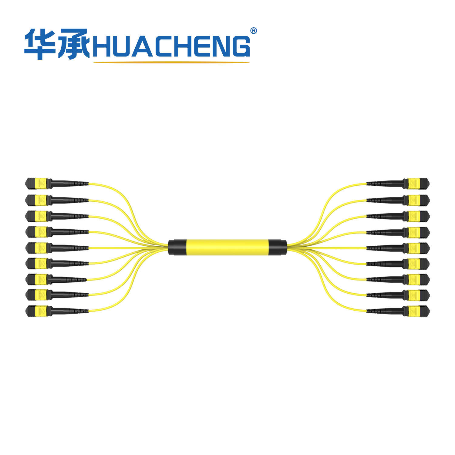 HUACHENG MPO/MTP 8/12/24/48/96 cores Pre-Terminated Trunk Cable for FTTH Data Center