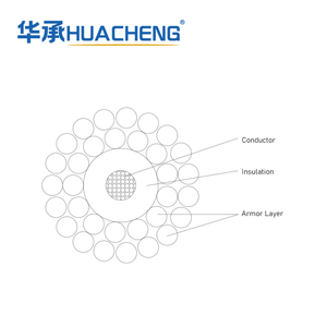 HUACHENG Steel Wire Armored Coaxial Cable