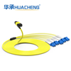 HUACHENG MPO/MTP-LC Sm/Om3/Om4 Breakout Patch Cords