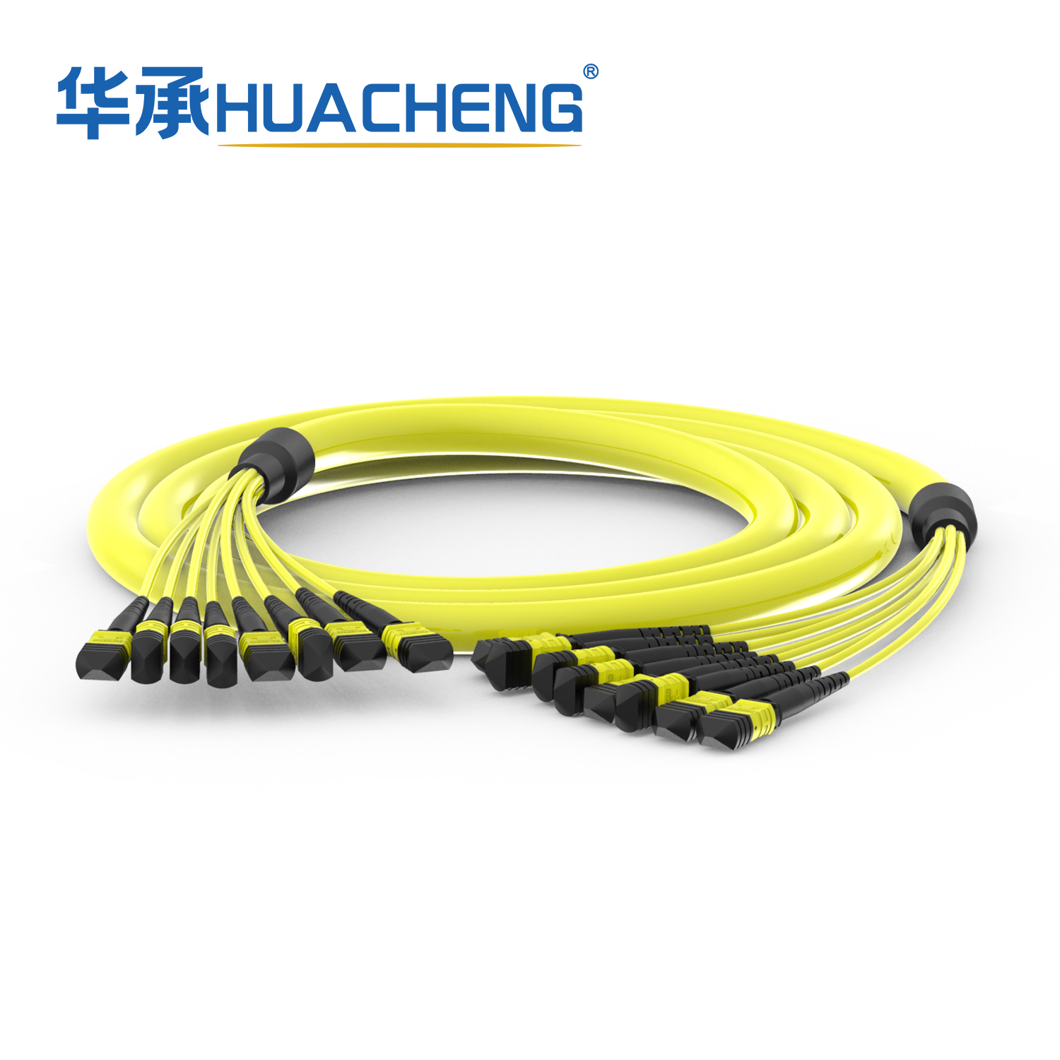 HUACHENG 12F-MPO Trunk Assembly, 96F, Bend-insensetive Single Mode, Riser