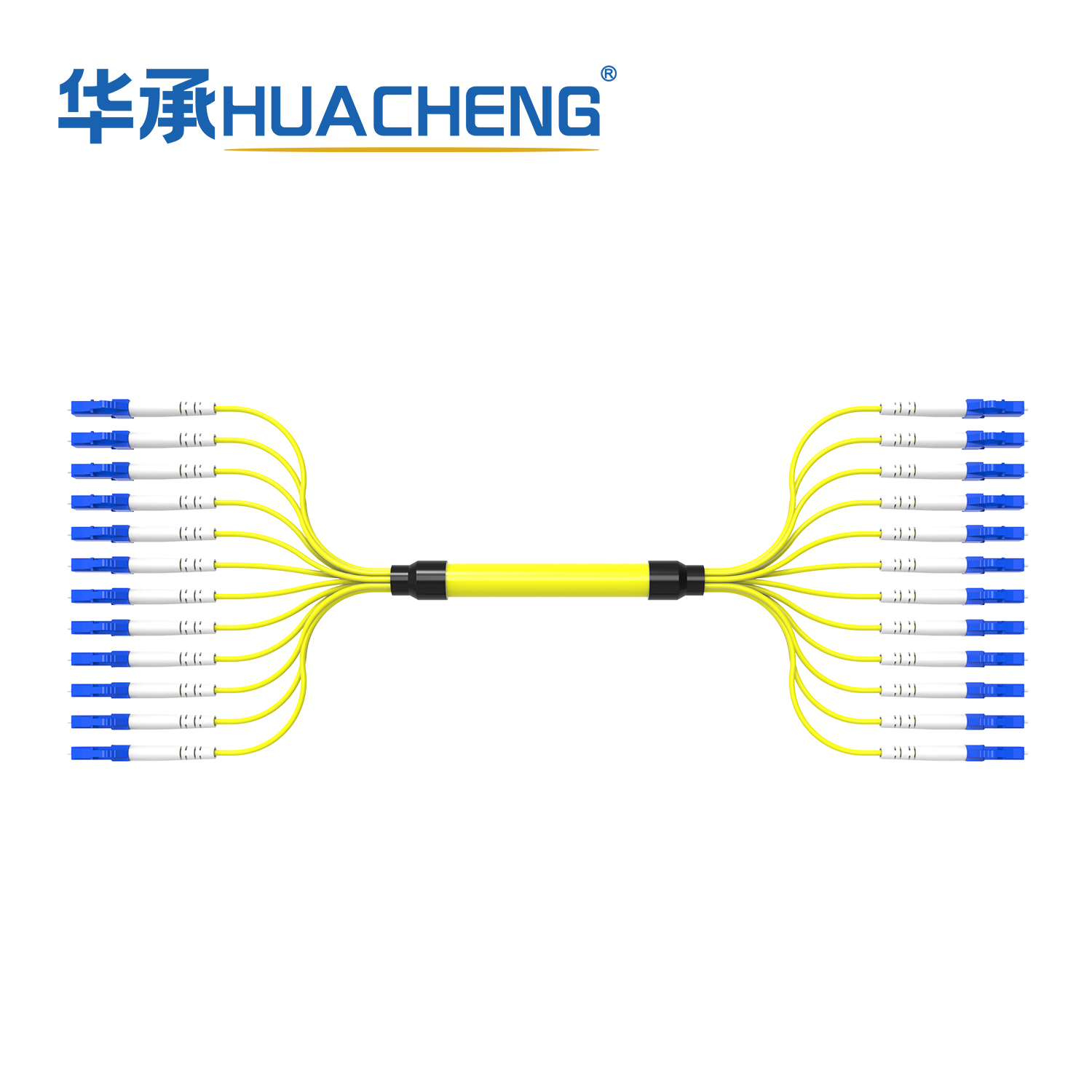 HUACHENG LC-LC Fanout Assembly, 12F, Bend Insensitive Single Mode, Tight-Buffered, 2.0mm, LSZH