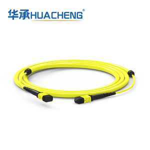 HUACHENG 12F-MPO Trunk Assembly, 12F, Bend-insensetive Single Mode, Riser