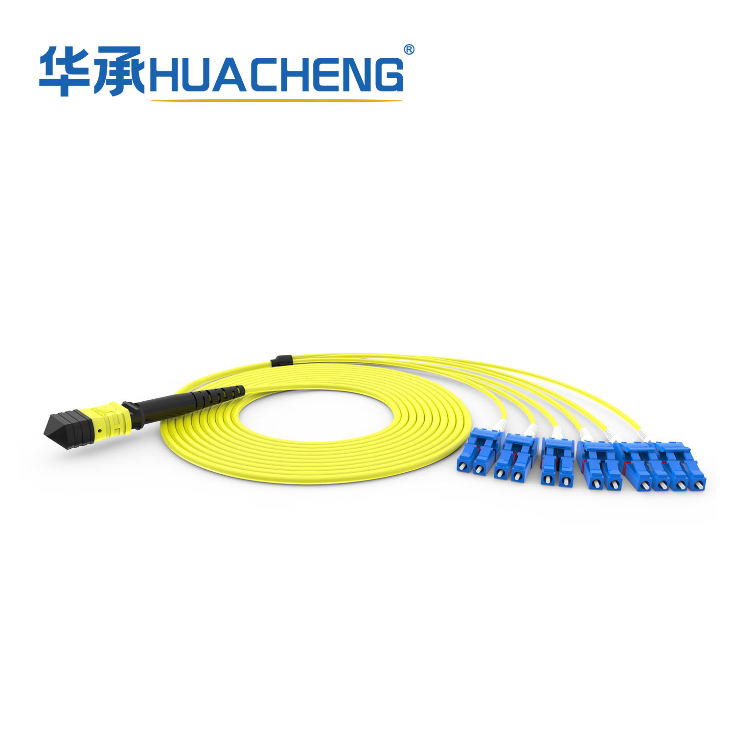 HUACHENG 12F-MPO Harness, Bend Insensitive Single Mode, 3.0mm, Plenum