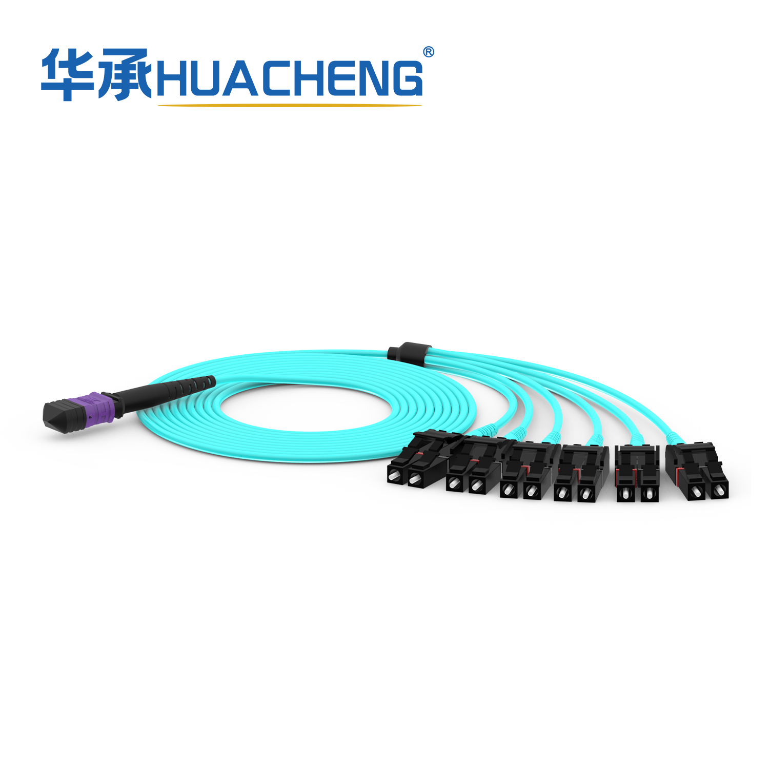 HUACHENG 12F-MPO Harness, MultiMode, 2.0mm, Riser
