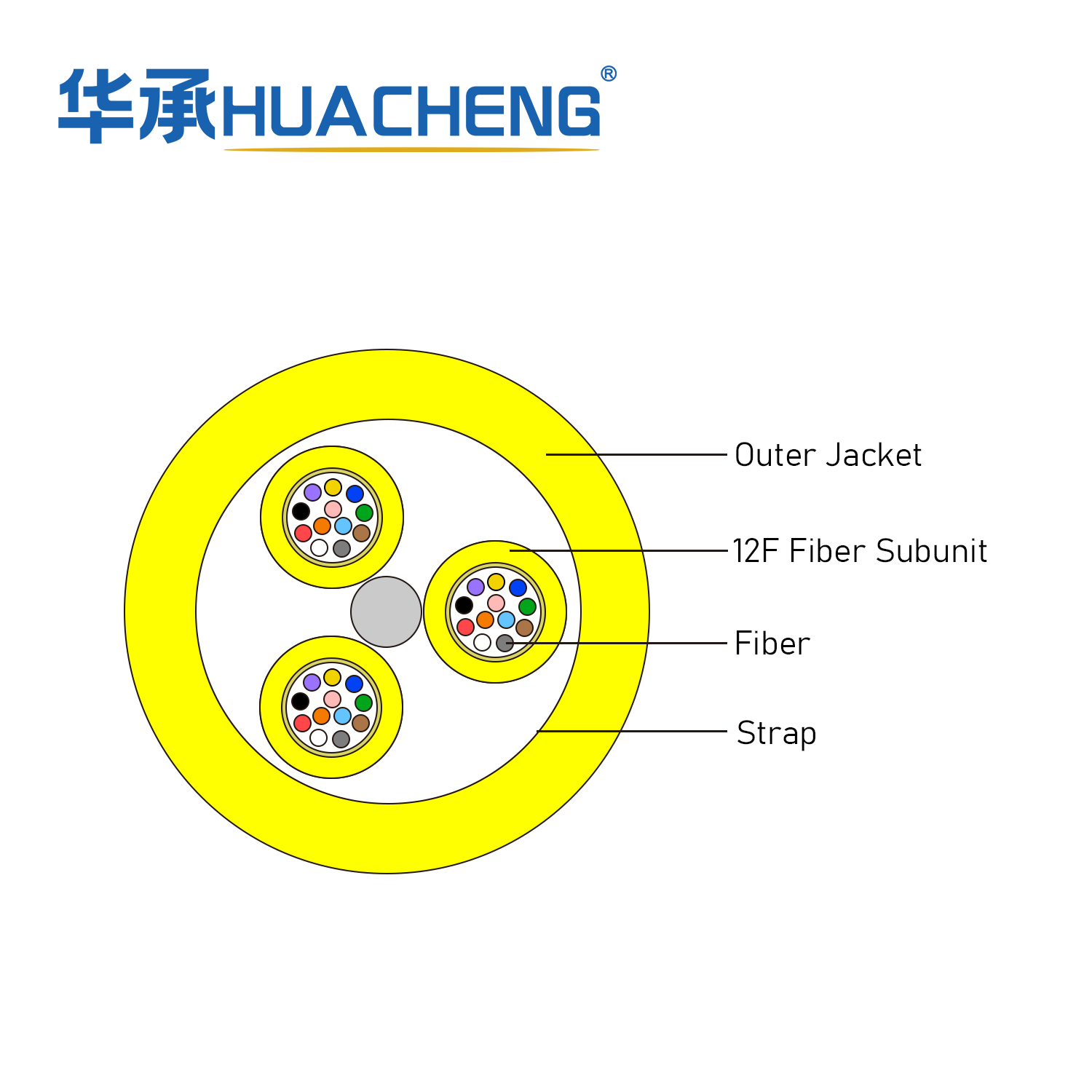 HUACHENG MFC, Distribution, Loose Tube, 24F, SM, LSZH, 12F 2.0 Subunit